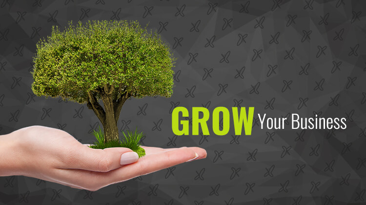 Grow your business with a website